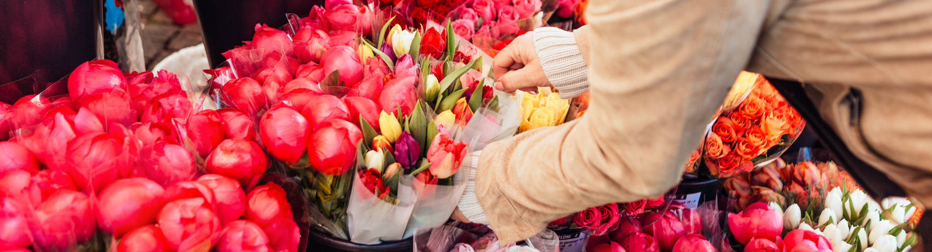 Servicios de La Plaza